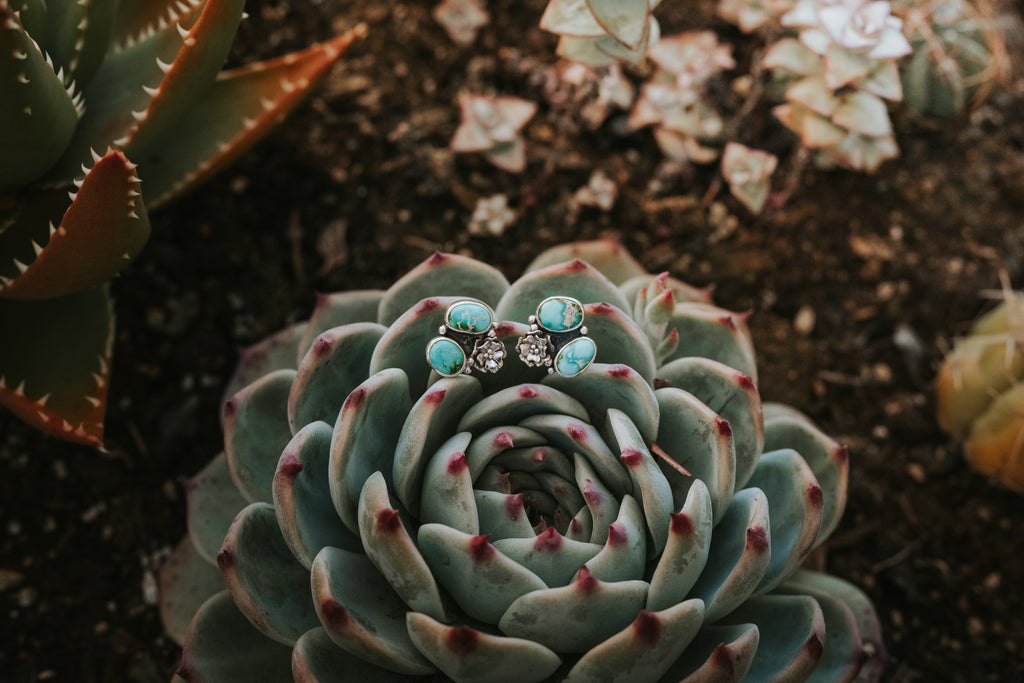 Sonoran Blossom Studs
