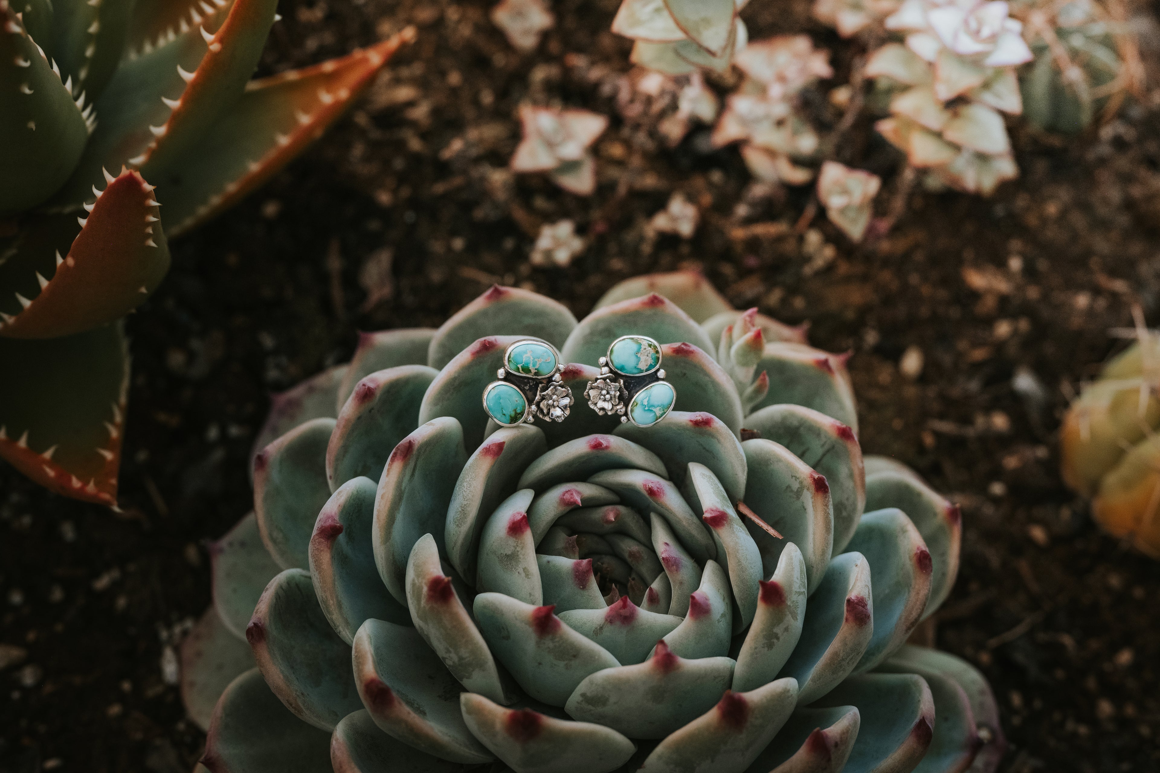 Sonoran Blossom Studs