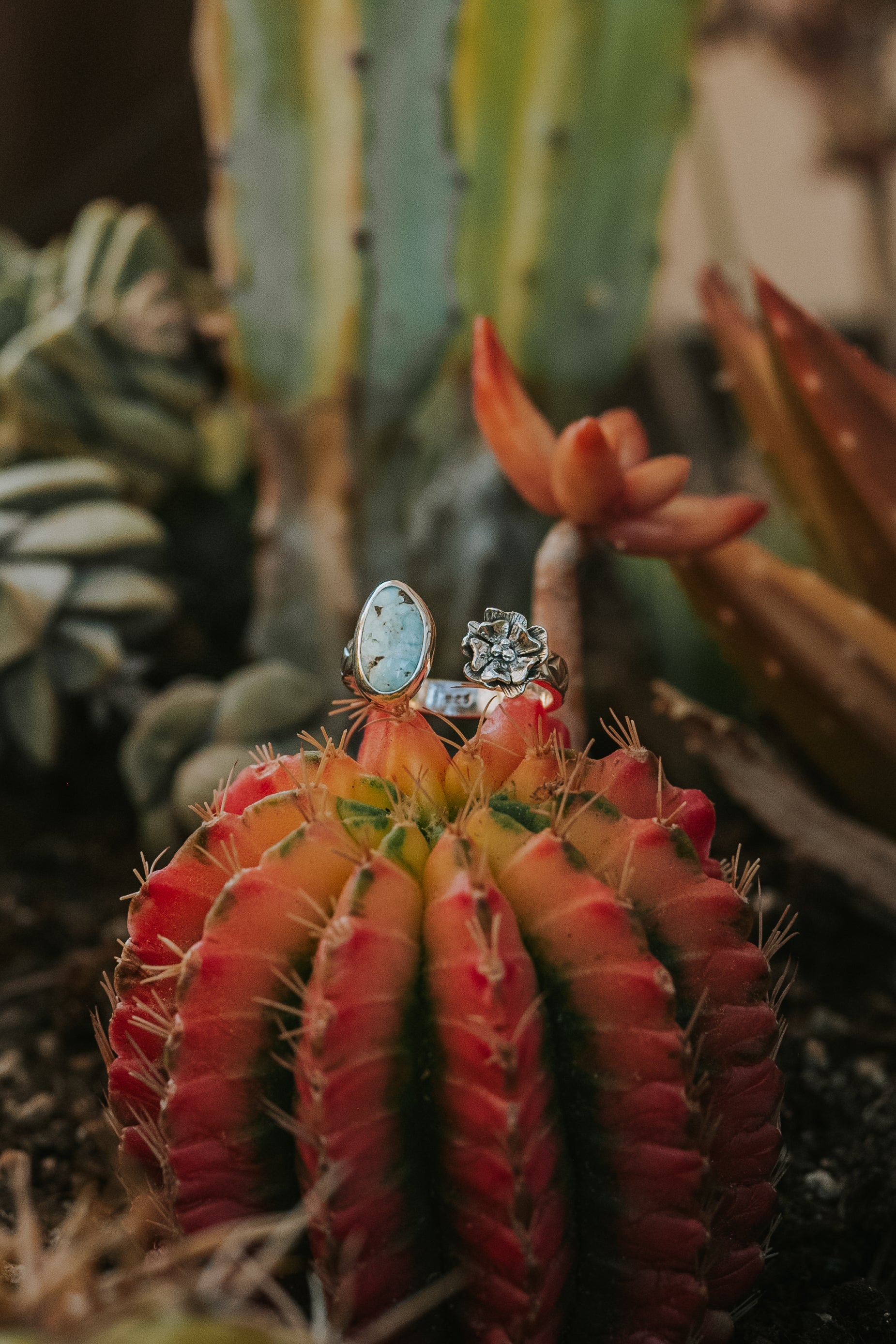 Bloom & Cactus Open Shank Rings
