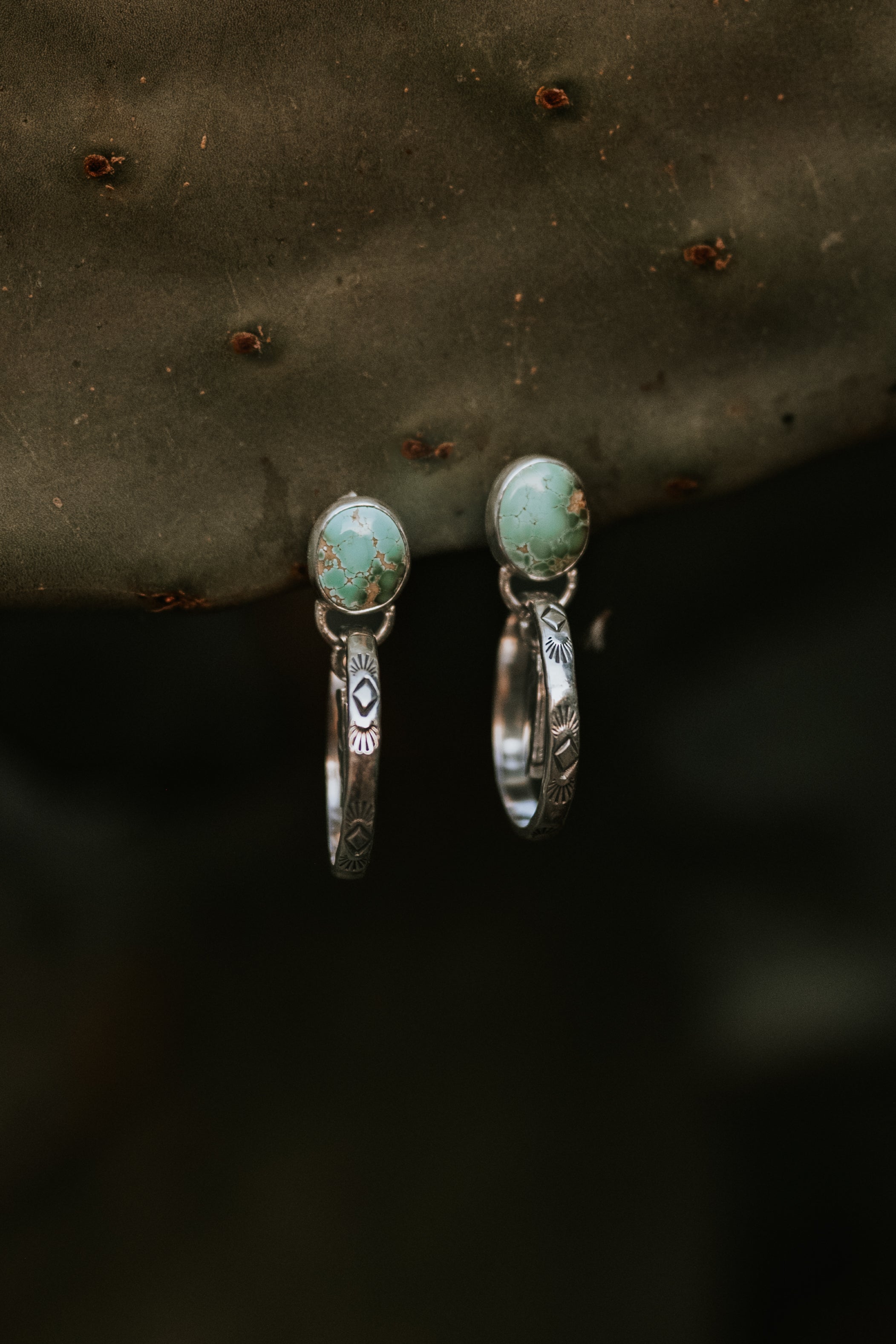 The Desert Haze Hoops