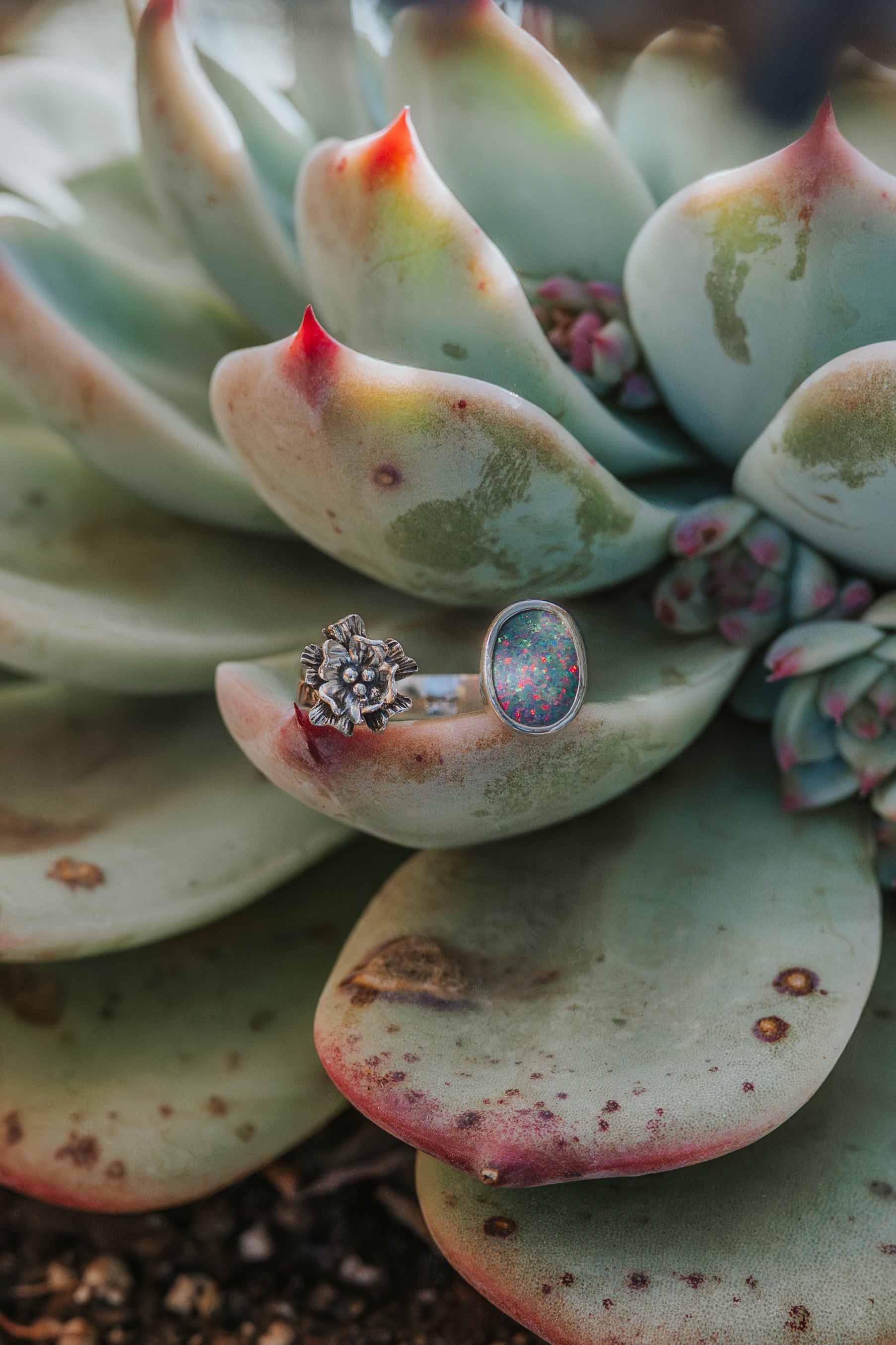 Bloom & Cactus Open Shank Rings