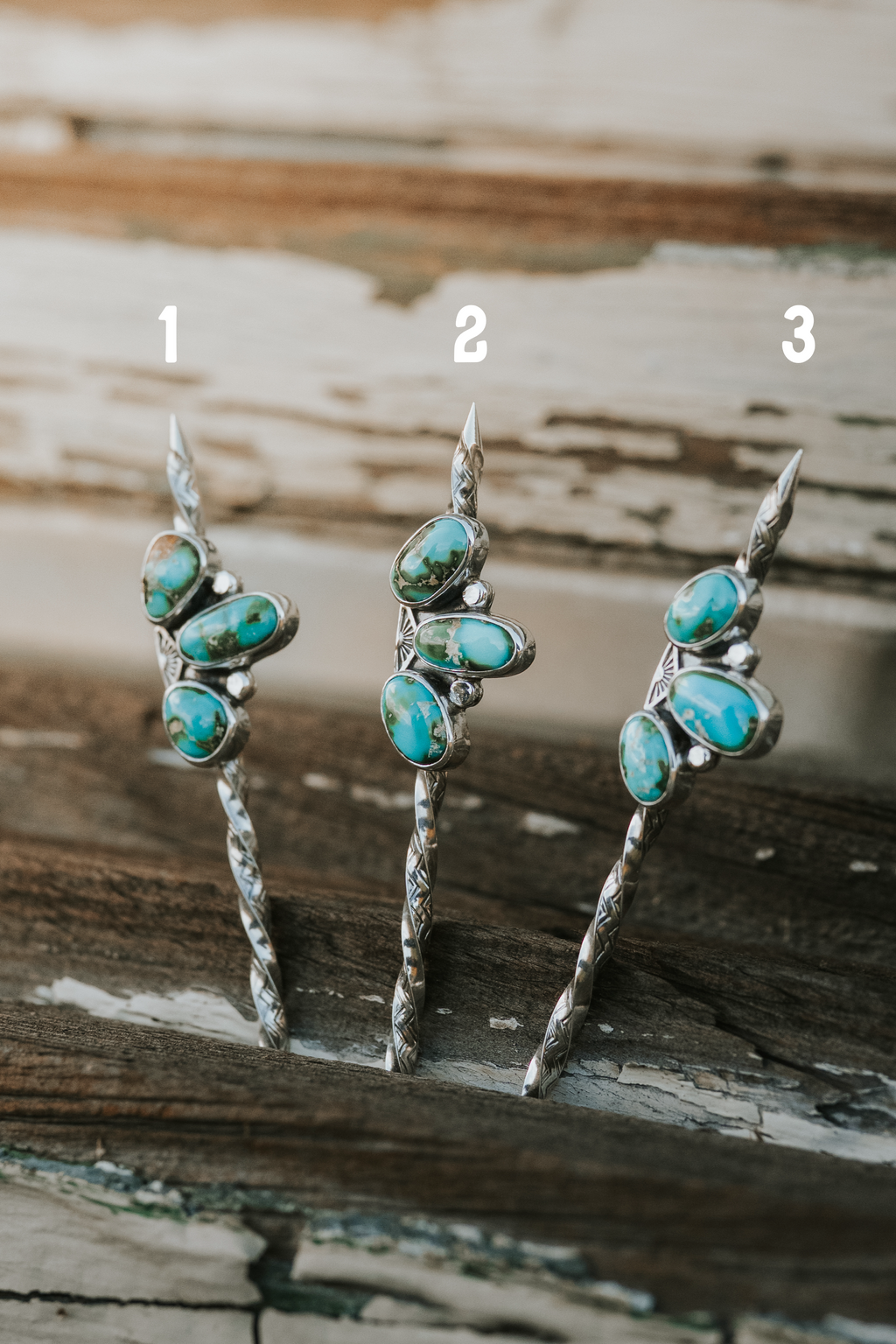Sonoran Hat Pins