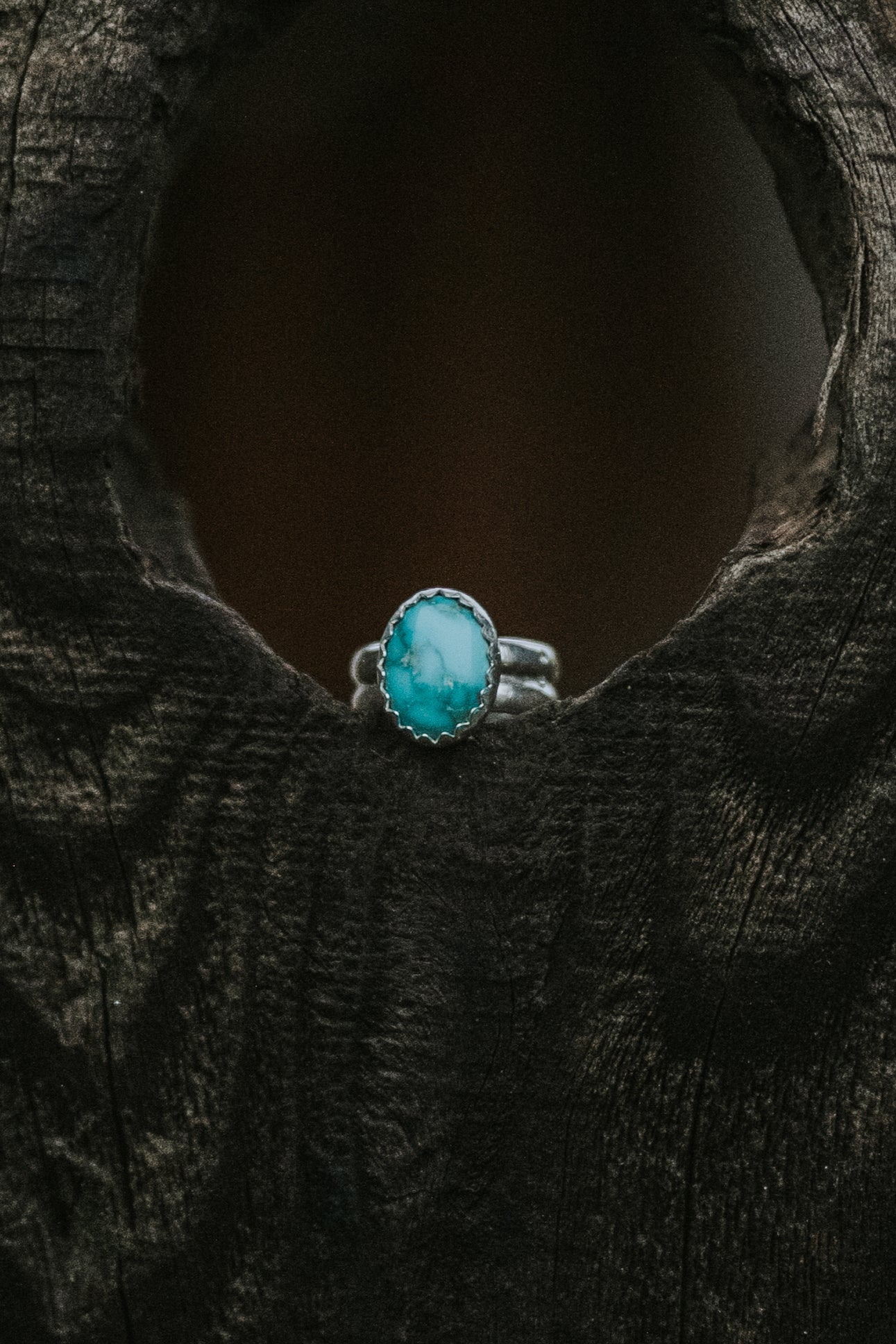 Carico Lake Ear Cuffs