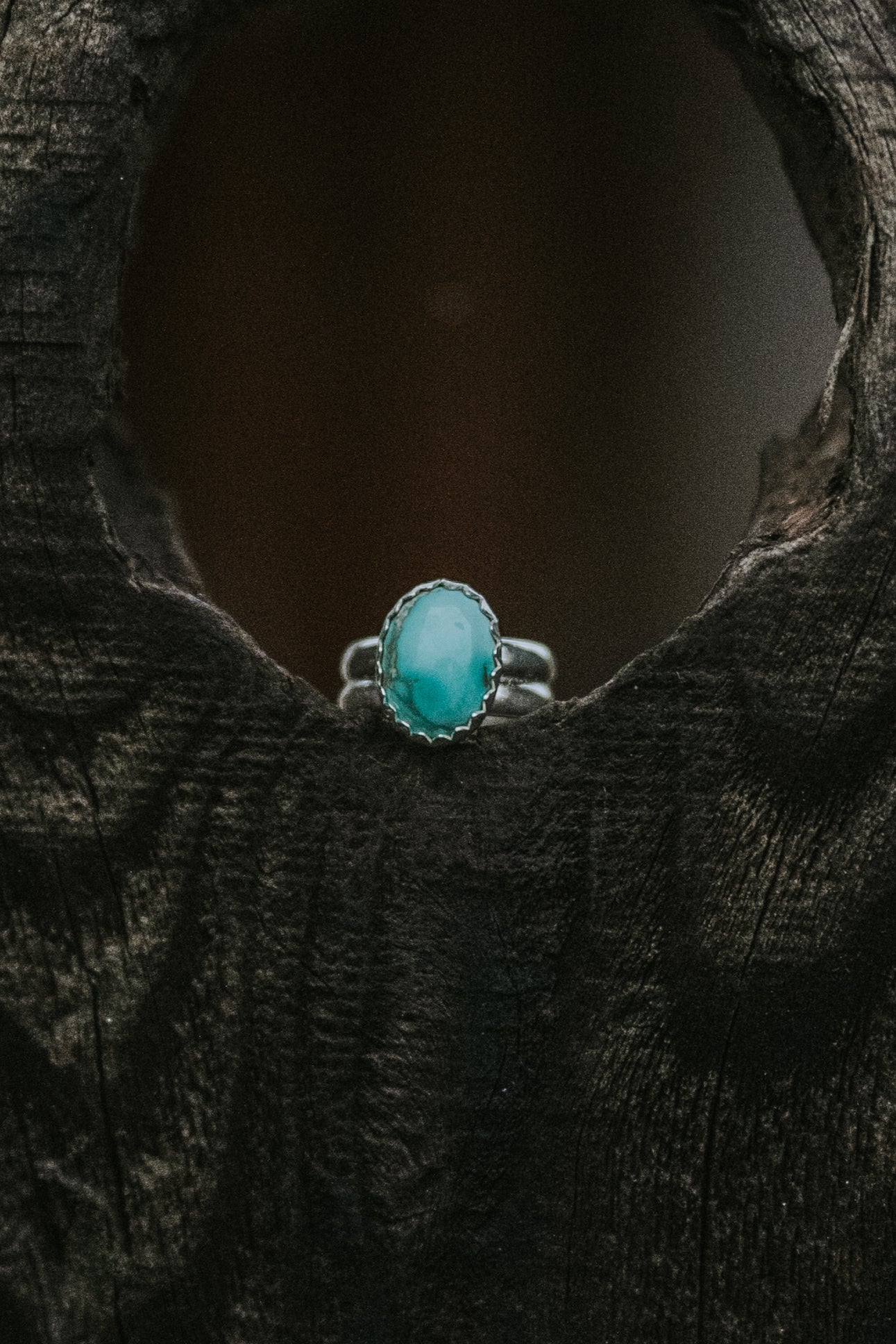 Carico Lake Ear Cuffs