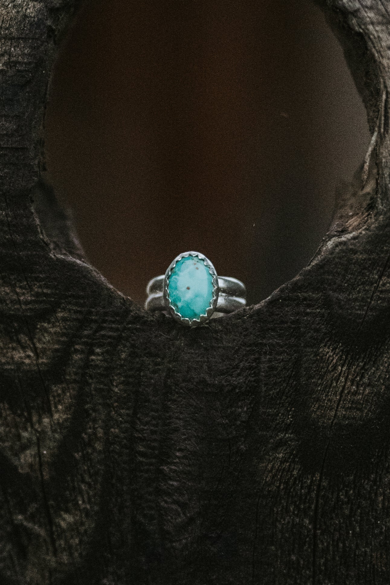 Carico Lake Ear Cuffs