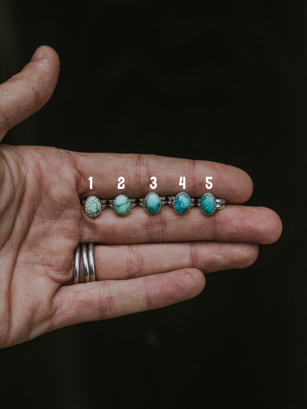 Carico Lake Ear Cuffs