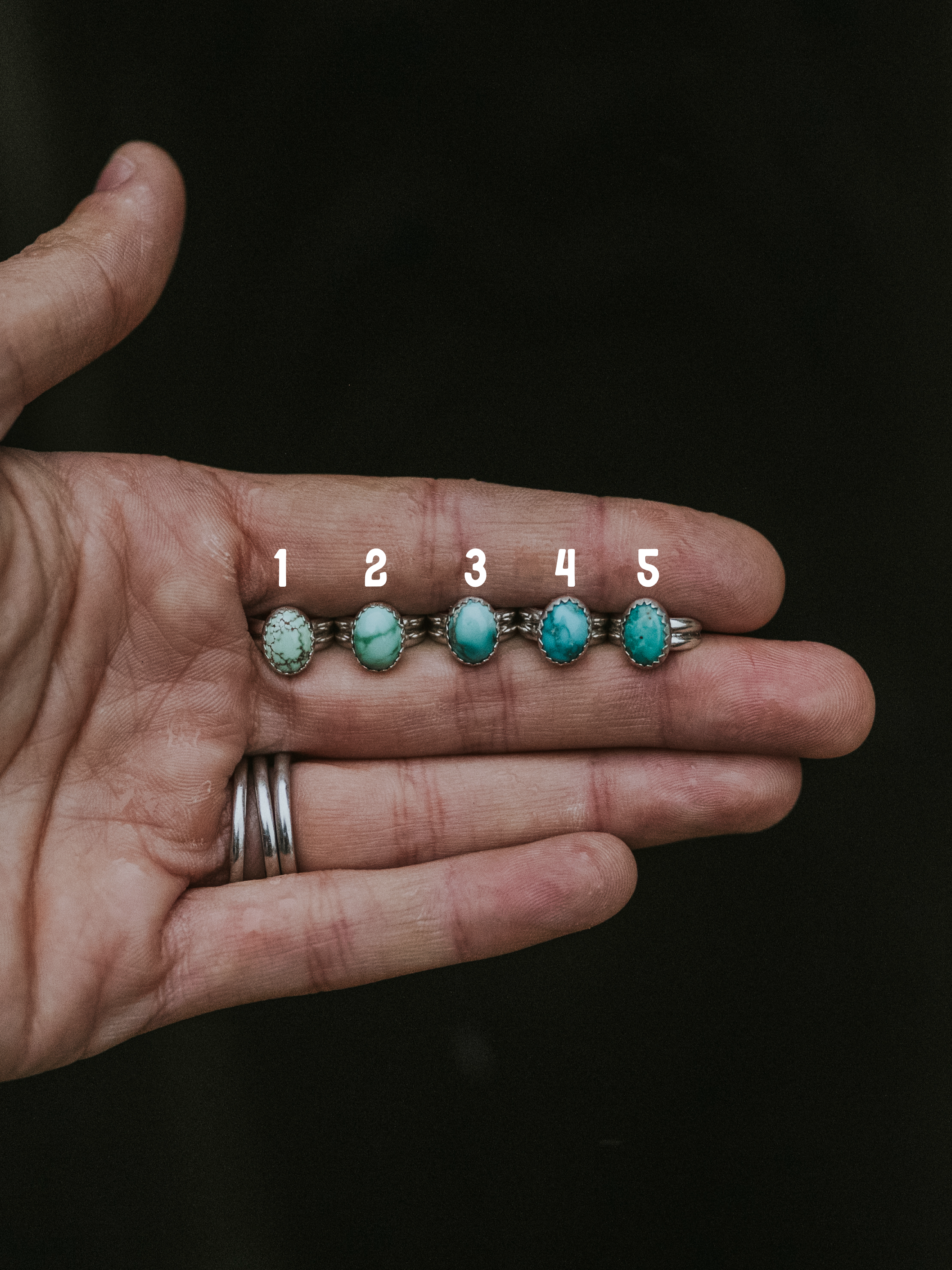 Carico Lake Ear Cuffs