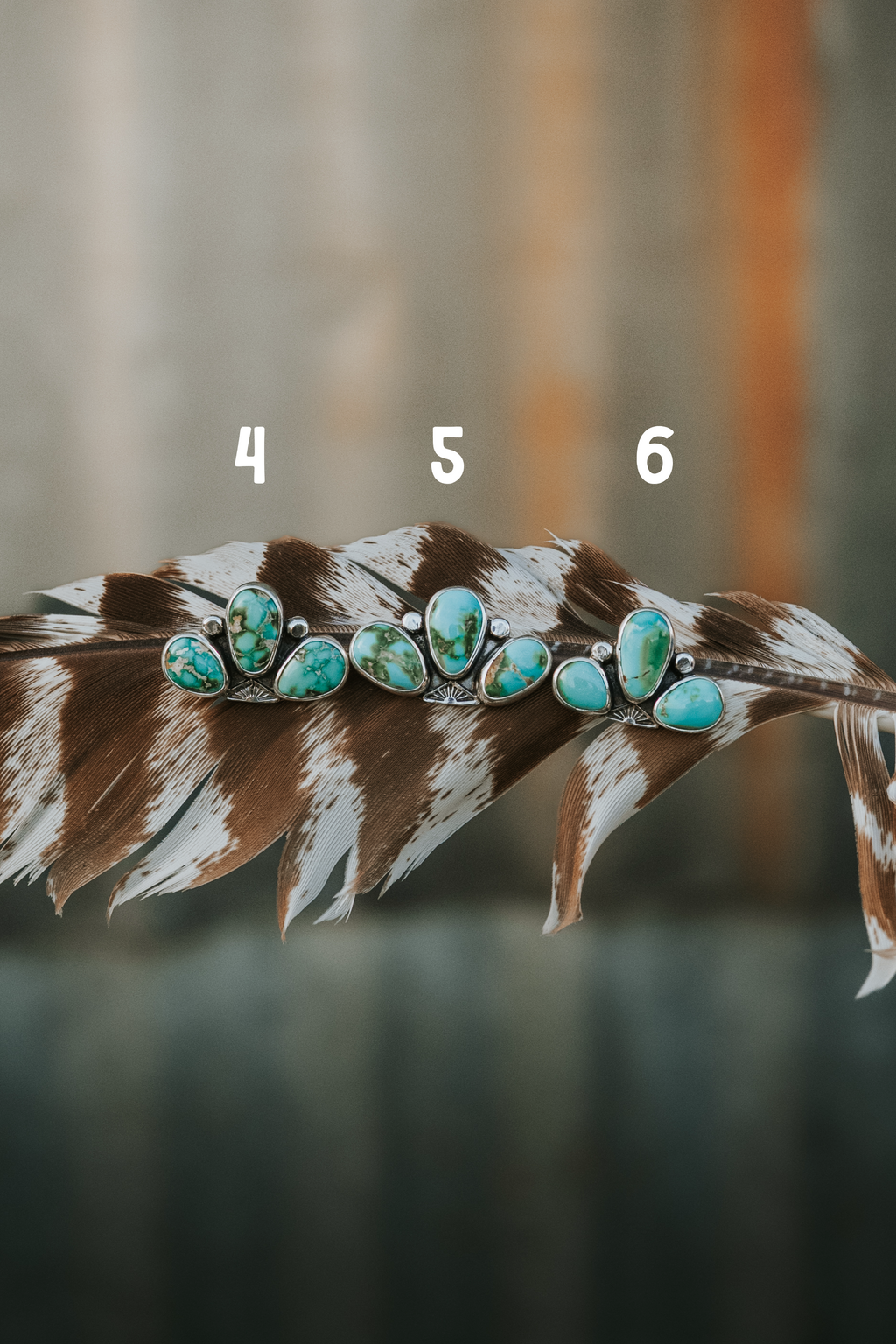 Sonoran Ear Cuffs